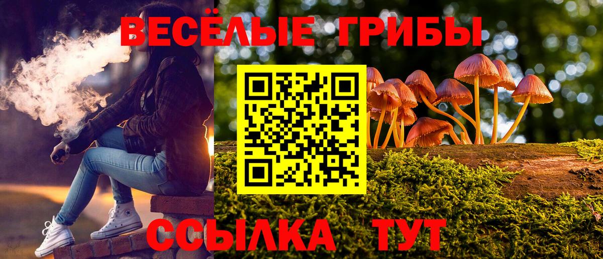Галлюциногенные грибы прущие грибы Новокуйбышевск