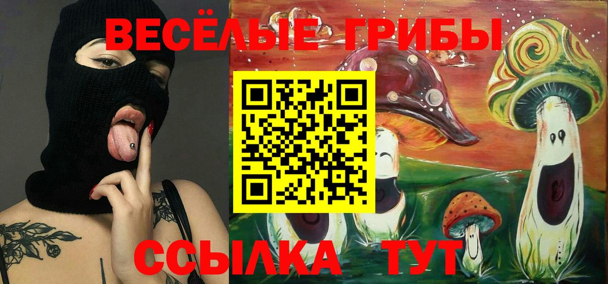 Новокуйбышевск  купить закладку  Вход с VPN  Галлюциногенные грибы мухоморы 