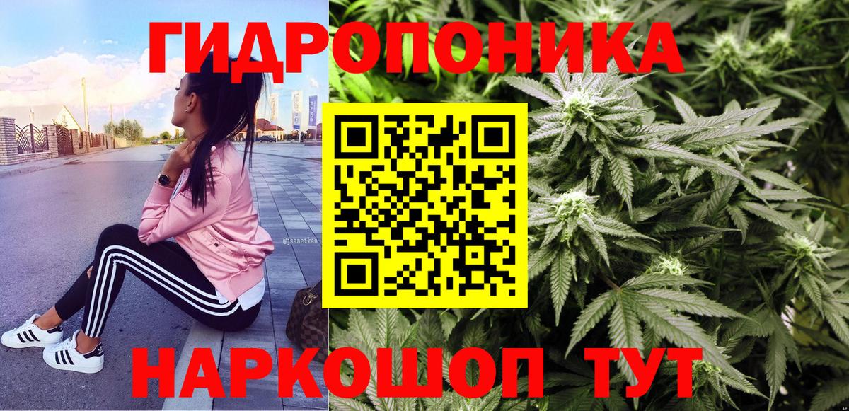 Конопля SATIVA & INDICA Новокуйбышевск